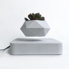 Load image into Gallery viewer, Urtepotter