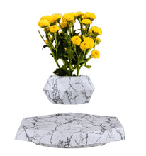 Load image into Gallery viewer, Skab en elegant og sofistikeret atmosfære i dit hjem med vores italiensk inspirerede urtepotte, der giver dine planter den opmærksomhed og pleje, de fortjener.