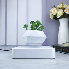 Load image into Gallery viewer, Hvid urtepotte