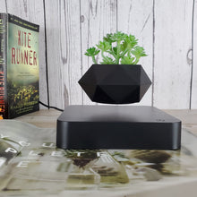 Load image into Gallery viewer, Hvid/sort urtepotte