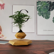 Load image into Gallery viewer, Tropisk svævende urtepotte
