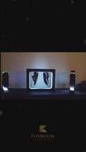 Load and play video in Gallery viewer, Flowlow - Futuristic 360° Shoe Display 
